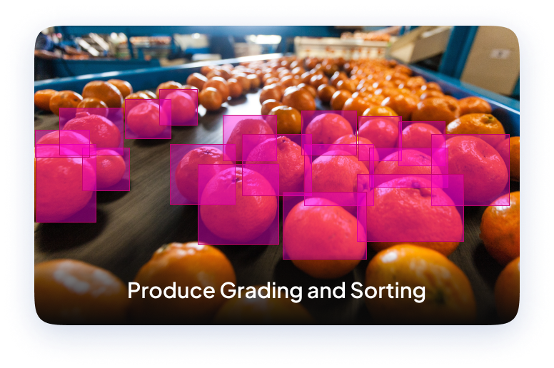 Object detection on oranges that are going for Packaging .